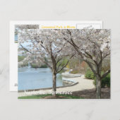 ナッシュビル – センテニアルパークイン開花 ポストカード (正面/裏面)