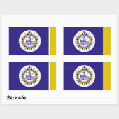 ナッシュビル（テネシー）市国旗 長方形シール (シート)