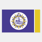 ナッシュビル（テネシー）市国旗 長方形シール (正面)