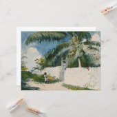 ナッソーの庭園（バハマの首都） カード (正面/裏面インサイチュ)