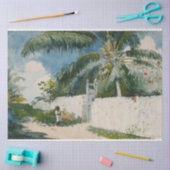 ナッソーの庭園(バハマの首都) 薄葉紙 (クラフト)