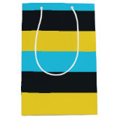 ナッソー国旗の色 ミディアムペーパーバッグ (正面)