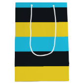 ナッソー国旗の色 ミディアムペーパーバッグ (裏面)