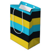 ナッソー国旗の色 ミディアムペーパーバッグ (裏面アングル)