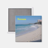 ナッソー磁石 マグネット (正面/裏面)