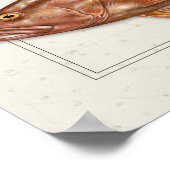 ナッソー、ゴリアテ、レッドハタ ポスター (角)