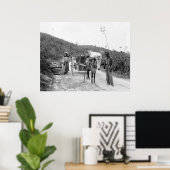 ナッソー、バハマ諸島、c1900 ポスター (ホームオフィス)