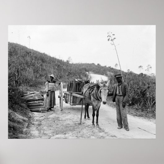 ナッソー、バハマ諸島、c1900 ポスター (正面)