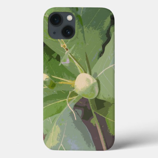 ナッツの木のクローズアップ Case-Mate iPhoneケース (裏面)