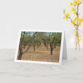ナッツの木の風景 カード (黄色い花)
