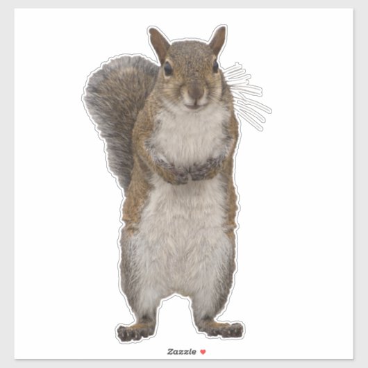 ナッツは持ってる? シール (シート)