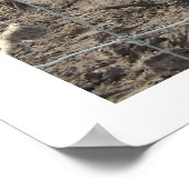 ナッツリングシマウマ ポスター (角)