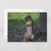 ナッツ得は？ ポストカード (正面/裏面)