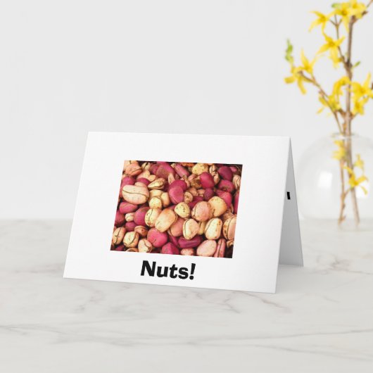 ナッツ！ カード (黄色い花)