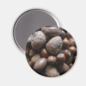 ナッツ！-マグネット マグネット (正面/裏面)