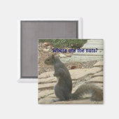 ナットおもしろい磁石を探しているACリス マグネット (正面/裏面)