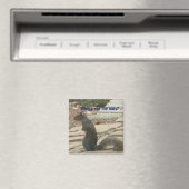 ナットおもしろい磁石を探しているACリス マグネット (インサイチュ (食洗機))