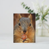 ナットで閉じるリス2 ポストカード (スタンド正面)