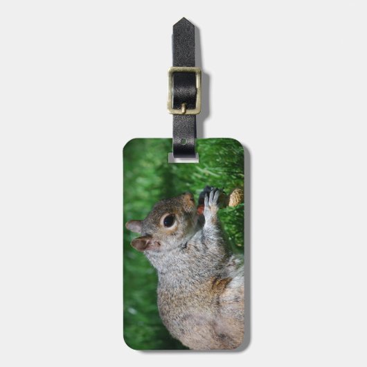 ナットの荷物のラベルを持つリス ラゲッジタグ (正面縦)