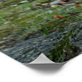 ナットを持っているリス ポスター (角)