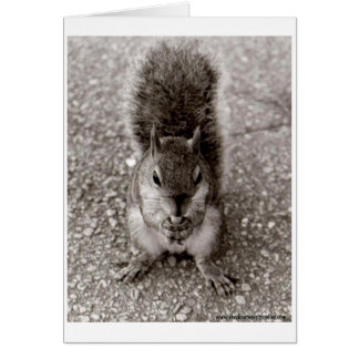 ナットを持つリス