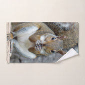 ナットを楽しむリス バスタオルセット (ハンドタオル)