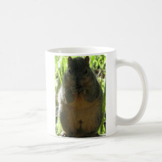 ナットを食べている小さいリスのかわいい写真 コーヒーマグカップ