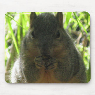 ナットを食べている小さいリスのかわいい写真 マウスパッド