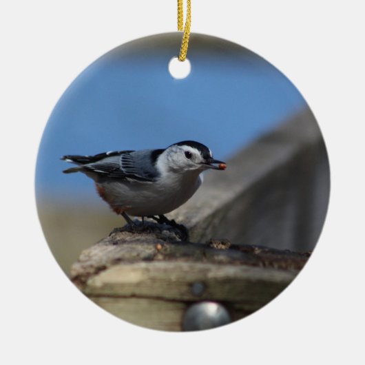 ナットハッチングオーナメント セラミックオーナメント (正面)