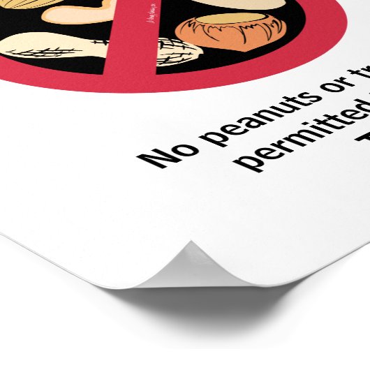 ナットフリーエリア教室アレルカスタマイズギースクール ポスター (角)