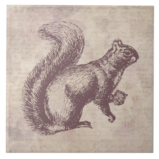 ナット付きリスヴィンテージアートフローラスクリプトスタイル タイル (正面)