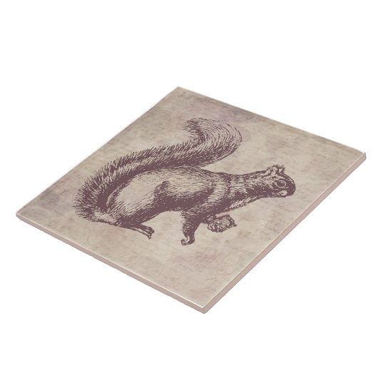 ナット付きリスヴィンテージアートフローラスクリプトスタイル タイル (側面)