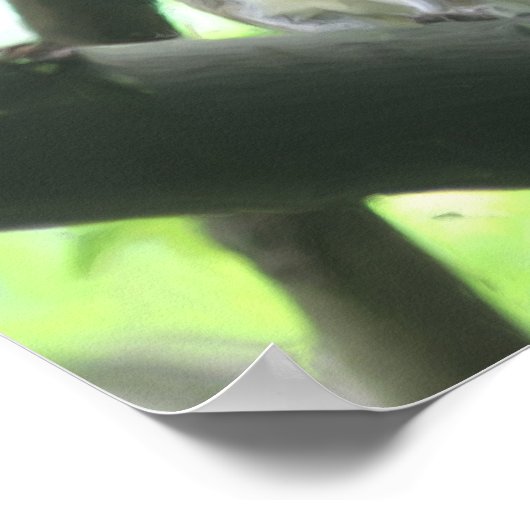 ナット付きリス自然絵画写真 ポスター (角)