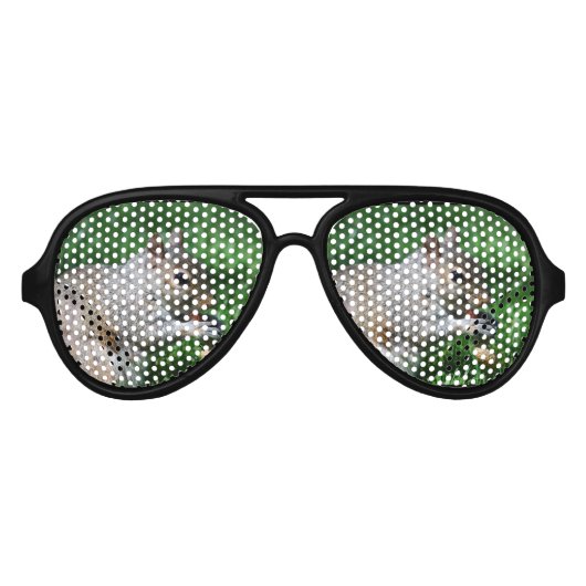 ナット付きリス アビエーターサングラス (正面)