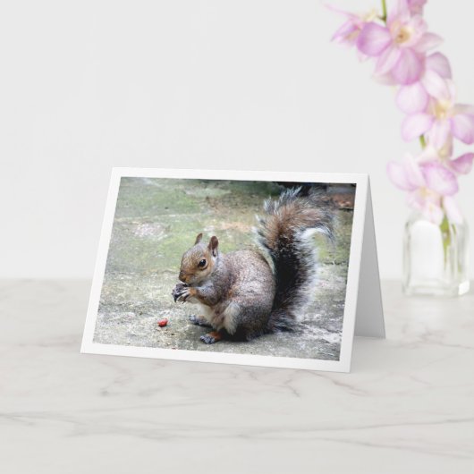 ナット付きリス カード (蘭)