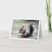 ナット付きリス カード (正面)