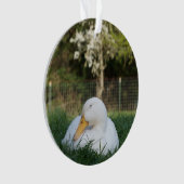 ナッピングアヒル オーナメント (正面)