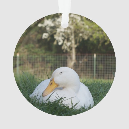 ナッピングアヒル オーナメント (裏面)