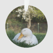 ナッピングアヒル オーナメント (正面)