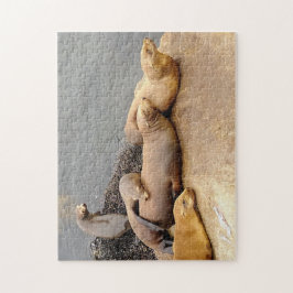 ナッピングベビーシーライオンズ ジグソーパズル