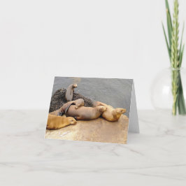 ナッピングベビーシーライオンズ ノートカード