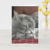 ナッピング・タビー・キャット・ノテカード カード (黄色い花)