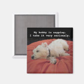 ナッピングWestieフォトマグネット マグネット (正面/裏面)