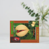 ナツメグはがき ポストカード (スタンド正面)