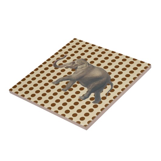 ナツメグスパイスモーズドットとゾウ タイル (側面)