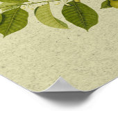 ナツメグ植物性プリント ポスター (角)