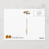 ナツメグ – ヴィンテージイラストレーション ポストカード (裏面)