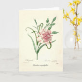 ナデシコのcaryophyllus カード (黄色い花)