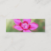 ナデシコのDeltoidesの花-近い上り スキニー名刺 (裏面)
