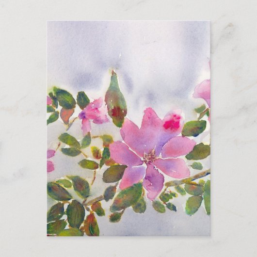 ナナバラ ポストカード (正面)